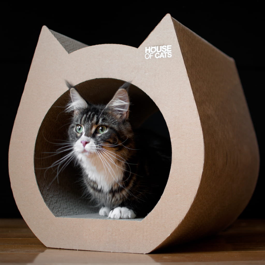Zdjęcia - Zabawka dla kota CATerpillar Drapa Dla Kota Cat Eco 
