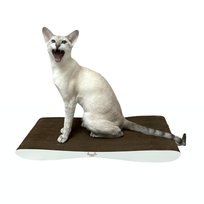 Drapak Dla Kota Kartonowy 46X25X5 Mini Adelecat Legowisko Niski