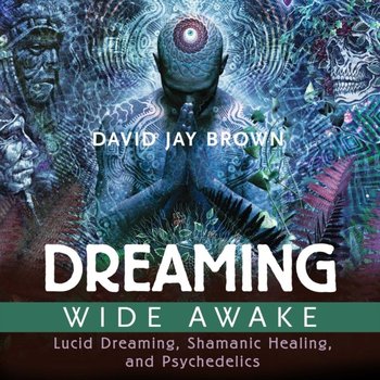 Dreaming Wide Awake - Brown David Jay