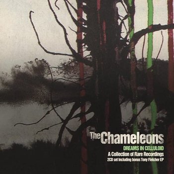 Dreams In Celluloid - The Chameleons