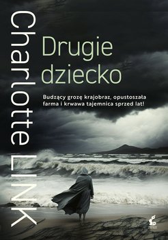 Drugie dziecko - ebook EPUB - Link Charlotte