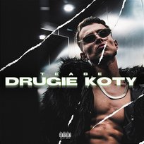 Drugie Koty Teabe