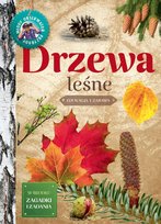 Drzewa leśne Wilamowska Małgorzata