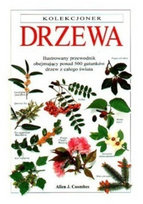 Drzewa Coombes Allen
