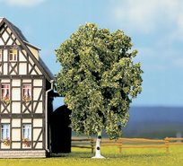 Drzewko - Brzoza, Noch 21640 Noch
