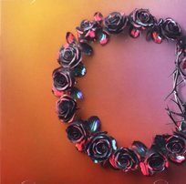 Dual (Dawn) The Rose Garden