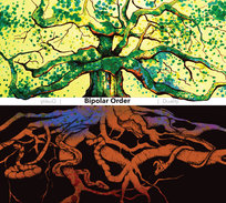 Duality Bipolar Order