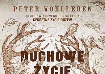 Zwierzęta także kochają   