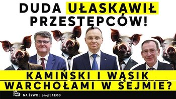 Duda ułaskawił przestępców! Kamiński i Wąsik warchołami w Sejmie? - Idź Pod Prąd Na Żywo - podcast - Opracowanie zbiorowe