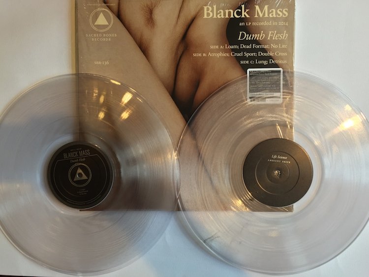 Dumb Flesh Blank Mass Muzyka Sklep