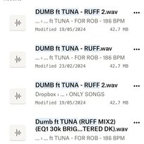 DUMB Tuna, Noga Erez