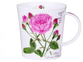 Dunoon, Kubek Lomond - Botanica Rose, Róże - Dunoon