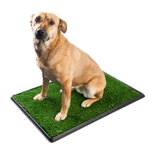 TV PRODUCTS Tv Products Duża Kuweta Toaleta Dla Psa Sztuczna Trawa