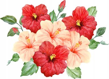 Duże naklejki ścienne na ścianę dla dziewczynki kwiatki Hibiskus Czerwony - Zestaw M - drukant