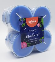 Klienci, których interesował ten produkt, oglądali też