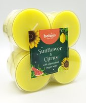 Klienci, których interesował ten produkt, oglądali też