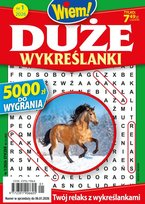 Duże Wykreślanki