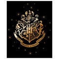 Duży KOC POLAR 220gsm 120x150 Harry Potter - EplusM
