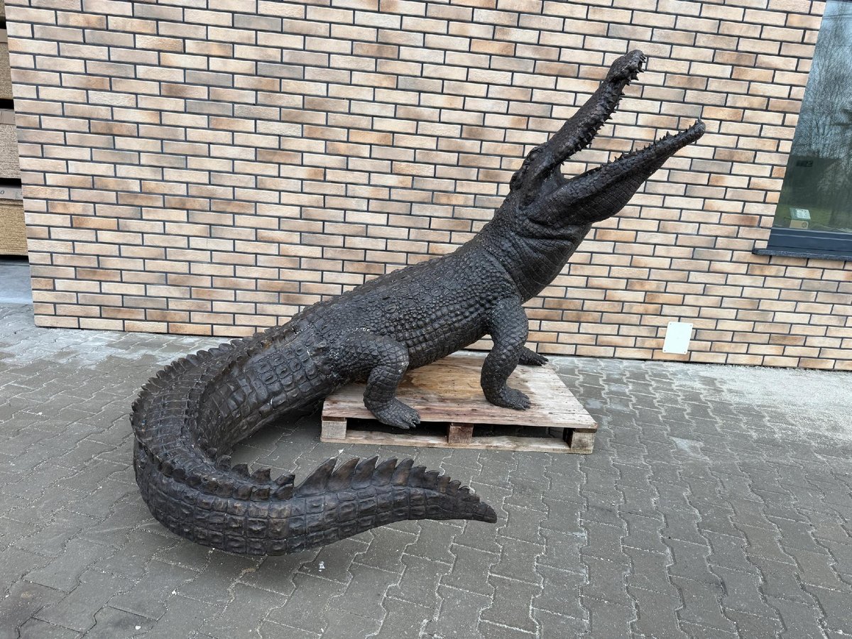 Duży krokodyl z brązu - FONTANNA gigant ALIGATOR