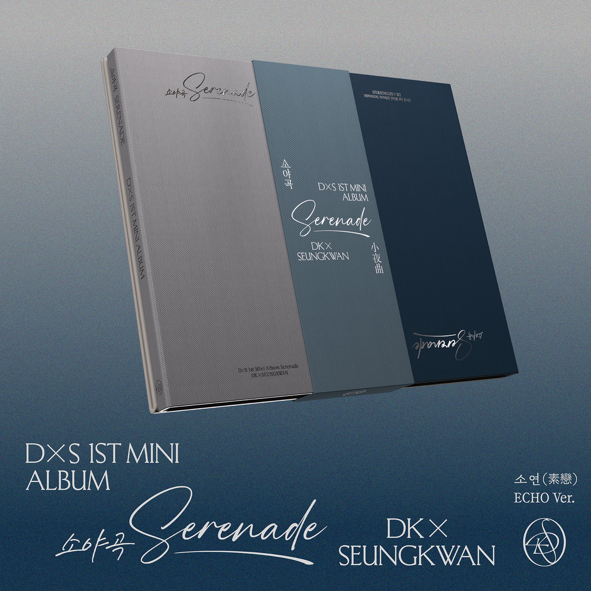 DxS 1st Mini Album Serenade Mixed Mesh Jersey Gift For Fans