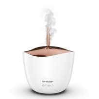 Aromatyzery