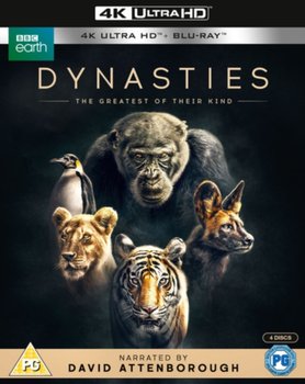 Dynasties (brak polskiej wersji językowej)
