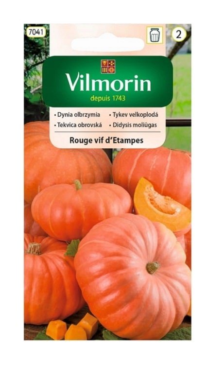 Germisem Butternut Semi di Zucca 3 g