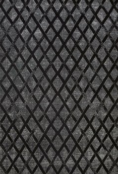 Dywan Ferry Dark shadow 160x230 Carpet Decor Magic Home - Fargotex