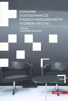 Działania dostosowawcze polskich przedsiębiorstw w okresie kryzysu - Opracowanie zbiorowe
