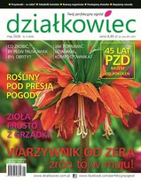 Działkowiec