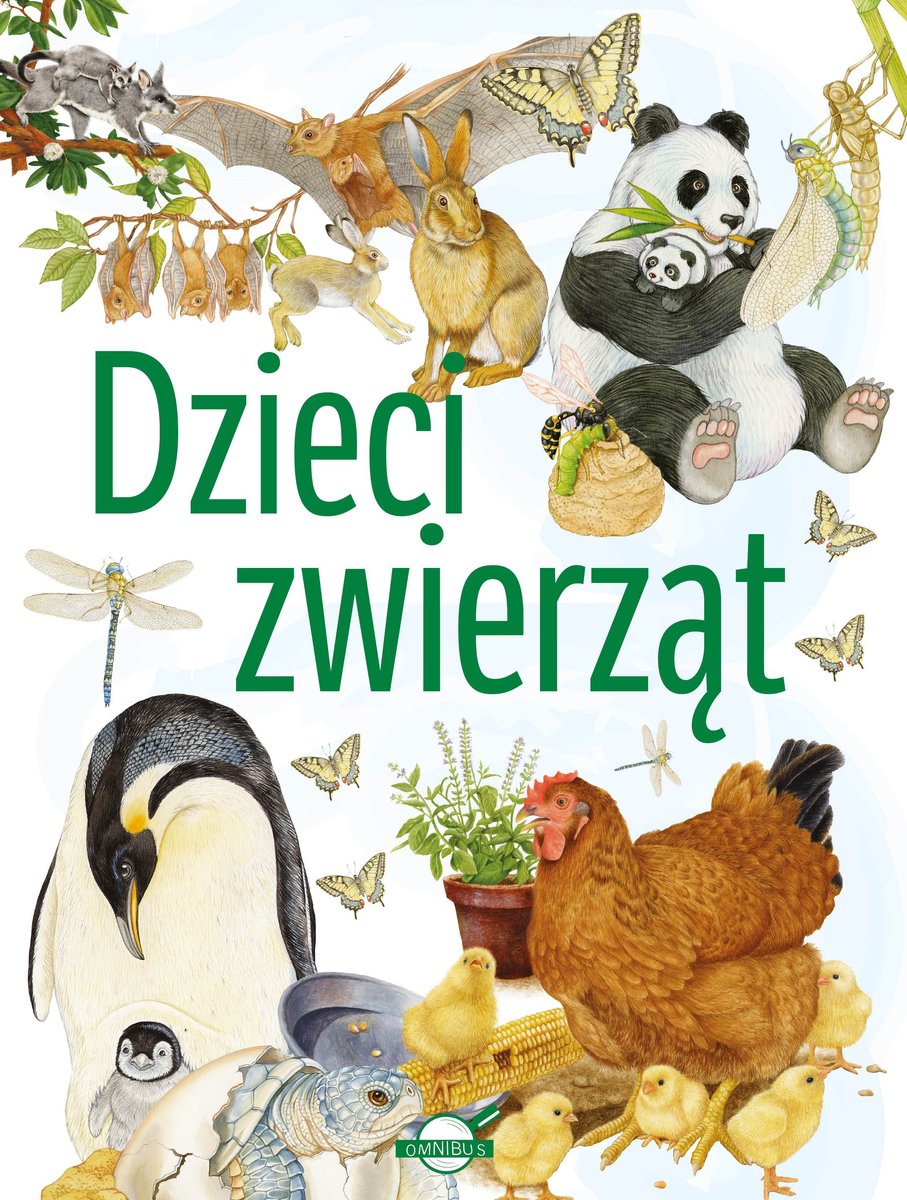 Dzieci Zwierząt Opracowanie Zbiorowe Książka W Empik 3722