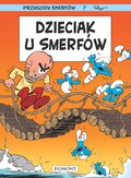 Dzieciak u Smerfów. Smerfy - De Coninck Jeroen, Culliford Thierry, Diaz Vizoso Miguel