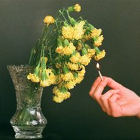 Dziewczyna w kolorze słońca Ostatni Dzień Lata