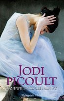 Dziewiętnaście minut Picoult Jodi