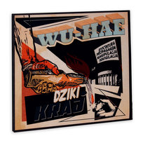 Dziki kraj Wu-Hae