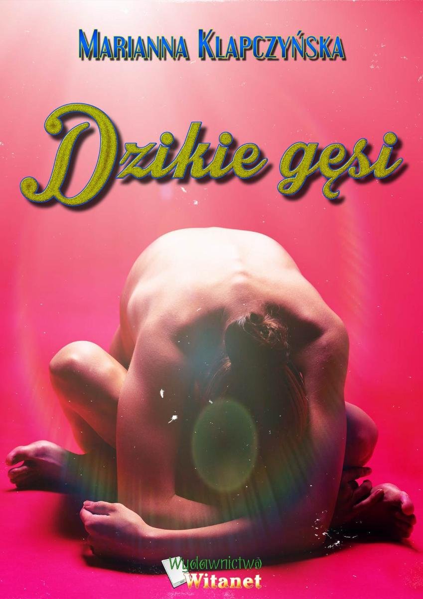 Dzikie gęsi - ebook epub