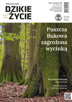 Dzikie Życie Stowarzyszenia Pracownia na Rzecz Wszystkich Istot