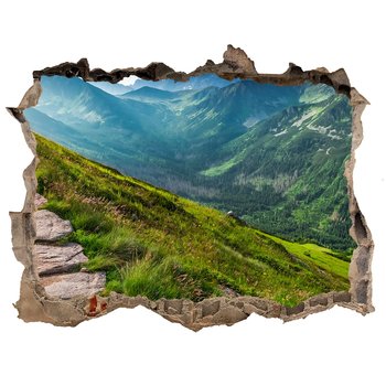 Dziura 3d w ścianie Naklejka Ścieżka w Tatrach, Tulup - Tulup