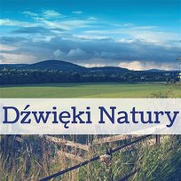 Dźwięki Natury – Muzyka Relaksacyjna, Biały Szum, Relaks, Lepszy Sen, Wyciszenie, Spokój, Harmonia, Medytacja Paweł Szala