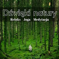 Dźwięki Natury – Szum Morze, Śpiew Ptaków, Deszcz, Muzyka Relaksacyjna na Pianinie, Medytacja, Joga, Sen Naturalny Relaks