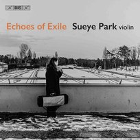 Echoes Of Exile Park Sueye