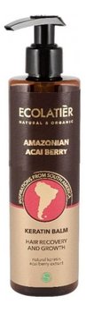 Ecolab Ec Laboratorie, Amazonian Acai Berry, keratynowy balsam do włosów Regeneracja i wzrost, 250 ml - Ecolab Ec Laboratorie