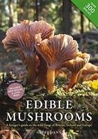 Edible Mushrooms - Dann Geoff