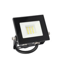 Edo Solutions, Naświetlacz Doran Led 10w, 4000k, 735lm, Ip65, 220-240v