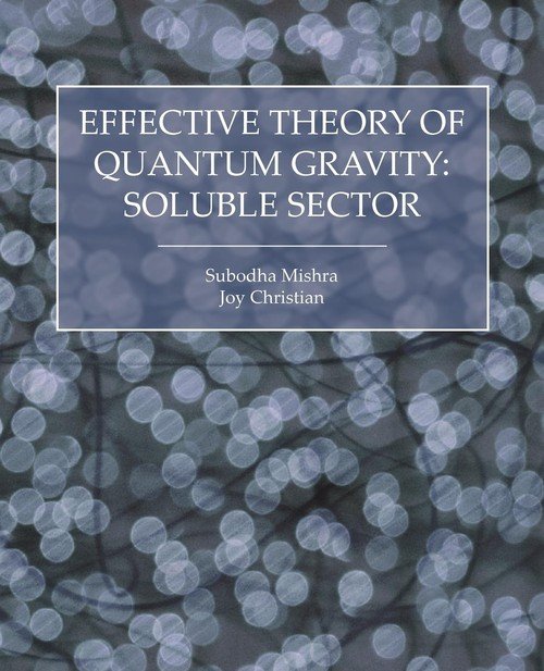 Effective Theory of Quantum Gravity - Mishra Subodha | Książka w Empik