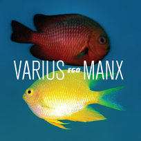 Ego Varius Manx