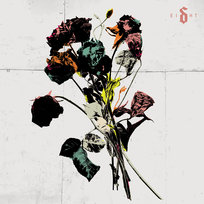Ei8ht Shinedown