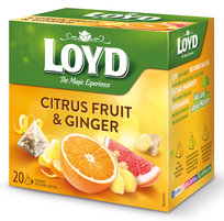 Ekspresowa Herbata Owocowa Owoce Cytrusa Z Imbirem Loyd BIO Torebki 20szt