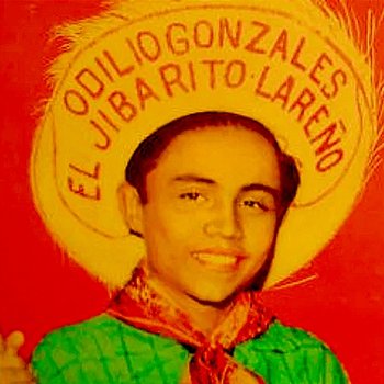 El Jibarito Lareño - Odilio Gonzalez
