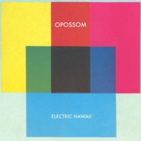 Electric Hawaii Opossom